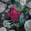Profile picture of ‌Setare‌