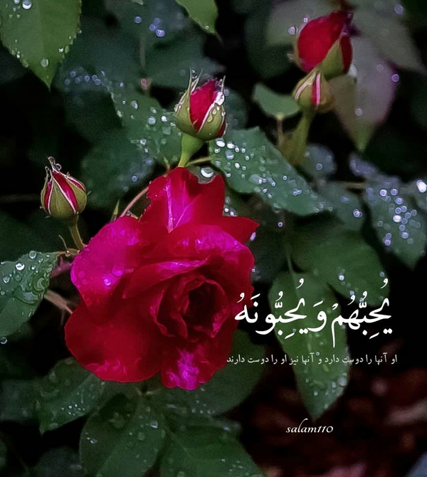 او آنها را...
