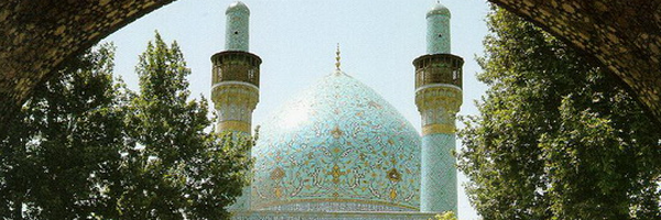 ‌مهدی صفری‌'s header picture