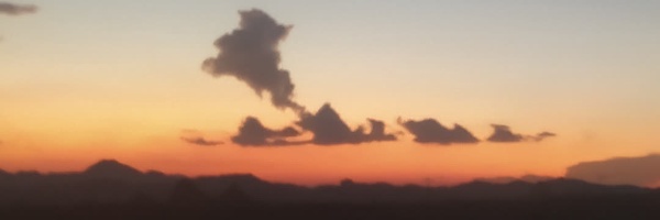 ‌محمود‌'s header picture