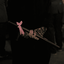 Profile picture of ‌فـاطـمه بـانو‌