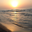 Profile picture of ‌Reihane‌