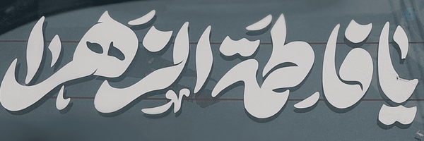 ‌Zed Erfani‌'s header picture