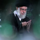 Profile picture of ‌پرستوی مهاجر‌