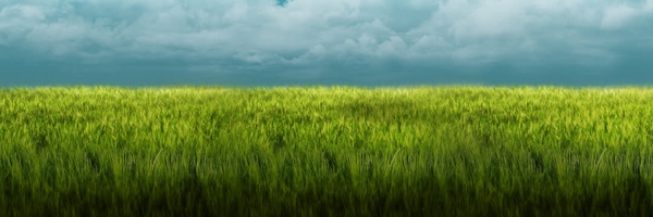 ‌سید مجتبی رامتین‌'s header picture