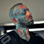 Profile picture of ‌ꜱᴏɴ ᴏꜰ ɴᴀᴛᴜʀ‌