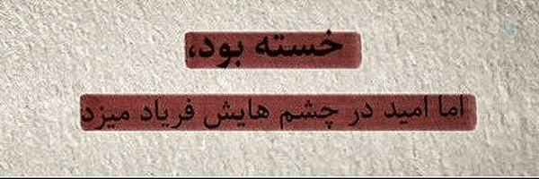 ‌Mobina.N‌'s header picture