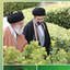 Profile picture of ‌زهرا اخلاقی‌