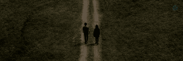 ‌SPIDER‌'s header picture