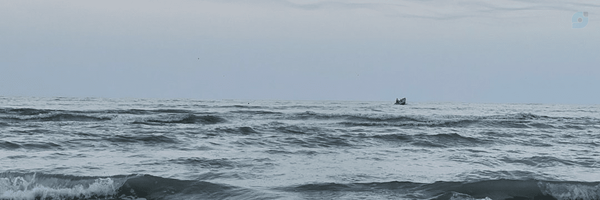 ‌Amirali🎒‌'s header picture