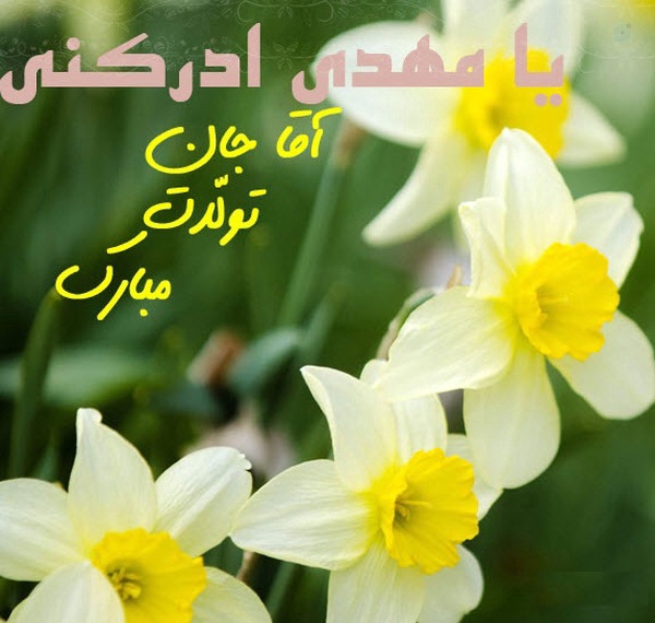 شهادت در معیت شما منتهای امال ماست ای عزیز فاطمه
