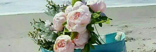 ‌رضا مهدوی‌'s header picture
