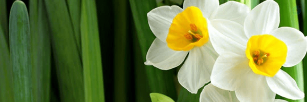 ‌نماهنگ های امام زمانی «عج»‌'s header picture