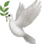 Profile picture of ‌زهره صالحی🎒‌