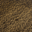 Sands of Thoughts