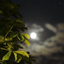 Profile picture of ‌No_one‌