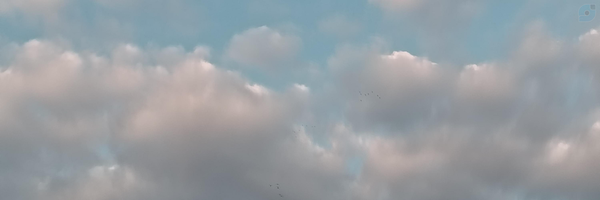 ‌هادی معلاپور‌'s header picture