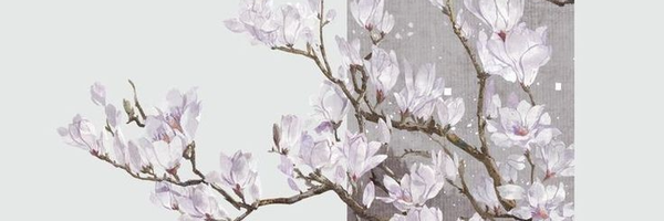 ‌امیرعباس جباری‌'s header picture