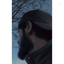 Profile picture of ‌" سَـیِـّد " 🇮🇷‌