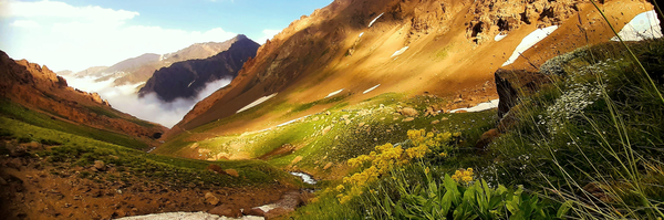 ‌قربان حسن زاده‌'s header picture