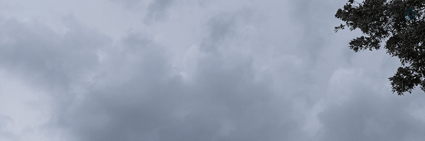 ‌ر z نوروزی۷۸‌'s header picture