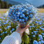 Profile picture of ‌ماعصومــآ‌
