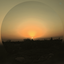 Profile picture of ‌سینا تیموری‌