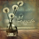 Profile picture of ‌مریم مهدی وشاره‌