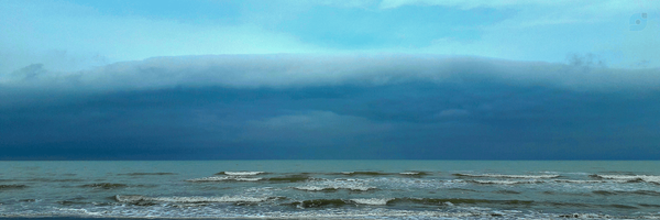 ‌خانم حاتمی‌'s header picture