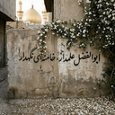 Profile picture of ‌Soheila Teymouri‌