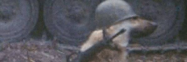 ‌Reza‌'s header picture