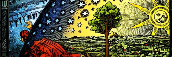 ‌Late Bloomer‌'s header picture