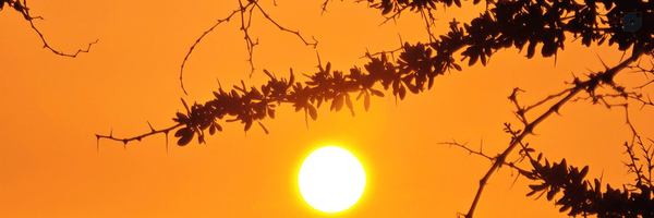 ‌Bahar‌'s header picture