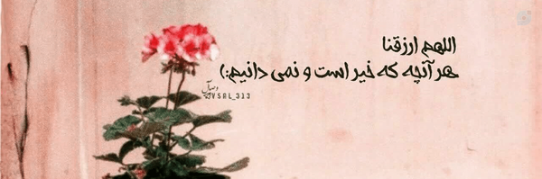 ‌سید امیر نظری‌'s header picture
