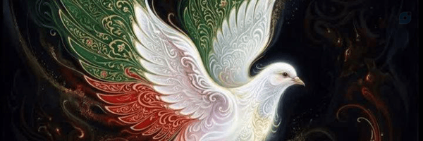 ‌سیدیاسر شریفی‌'s header picture