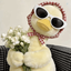 Profile picture of ‌[خانمِ مَجنون]‌