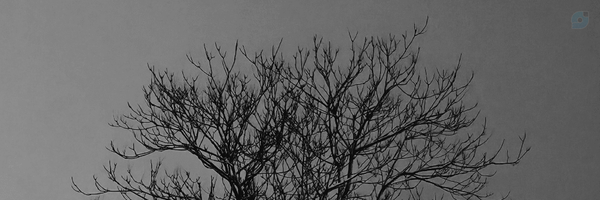 ‌امیرحسین زارعی‌'s header picture