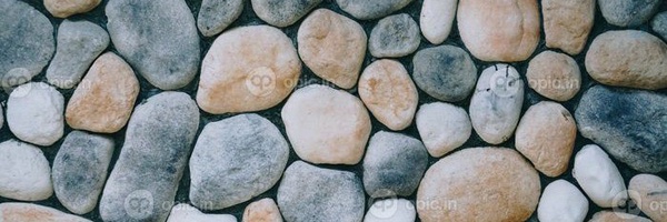 ‌دوست فاطمه‌'s header picture