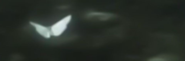 ‌user1748160319537431470‌'s header picture