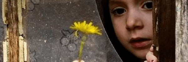 ‌محمدجواد حسین زاده‌'s header picture