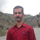 Profile picture of ‌محمد باغبان‌
