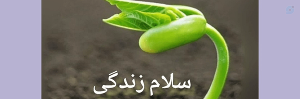 ‌ستاره سها‌'s header picture