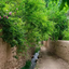 Profile picture of ‌آندیا‌