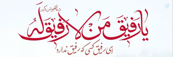 ‌محمدرضا‌'s header picture