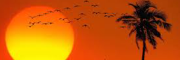 ‌سیدعلی حسینی مجد‌'s header picture
