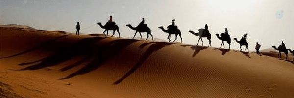 ‌maryam mohsenian‌'s header picture