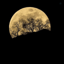 Profile picture of ‌عباس‌