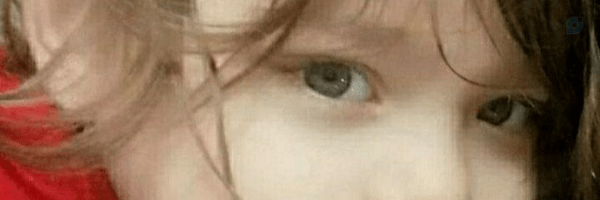 ‌majarajo‌'s header picture