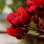 Profile picture of ‌فاطمه هاشمی‌