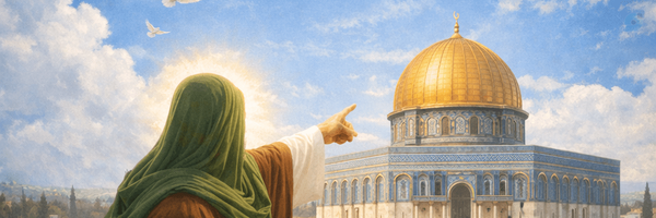 ‌محمد غربالی‌'s header picture